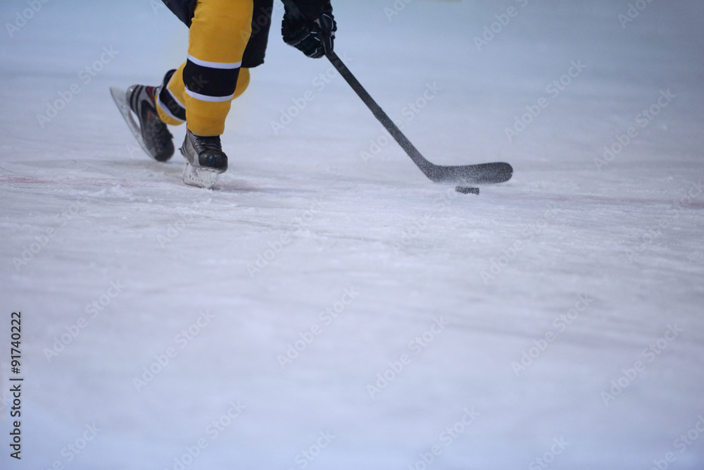 Obraz premium ice hockey player in action