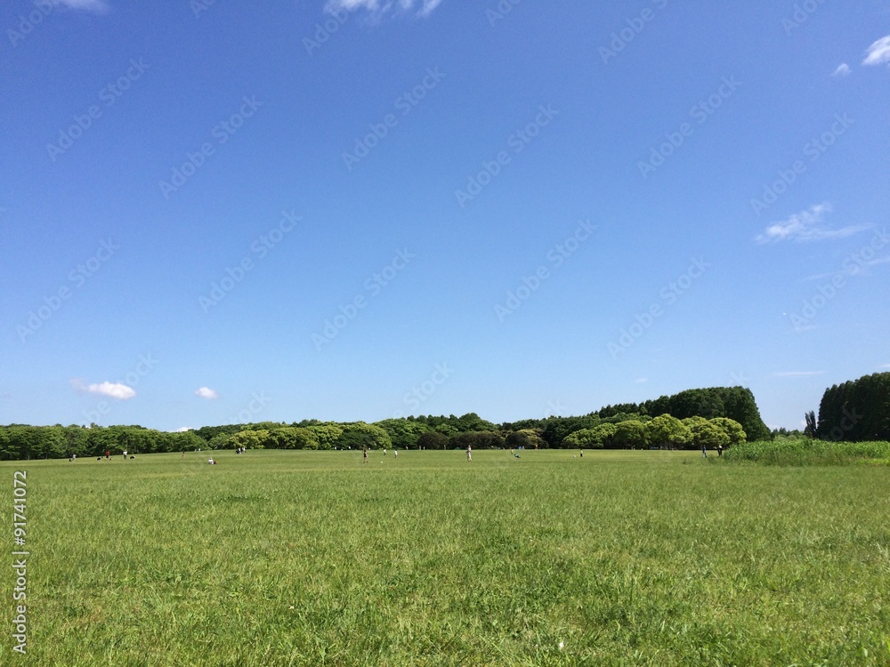 Obraz premium 公園