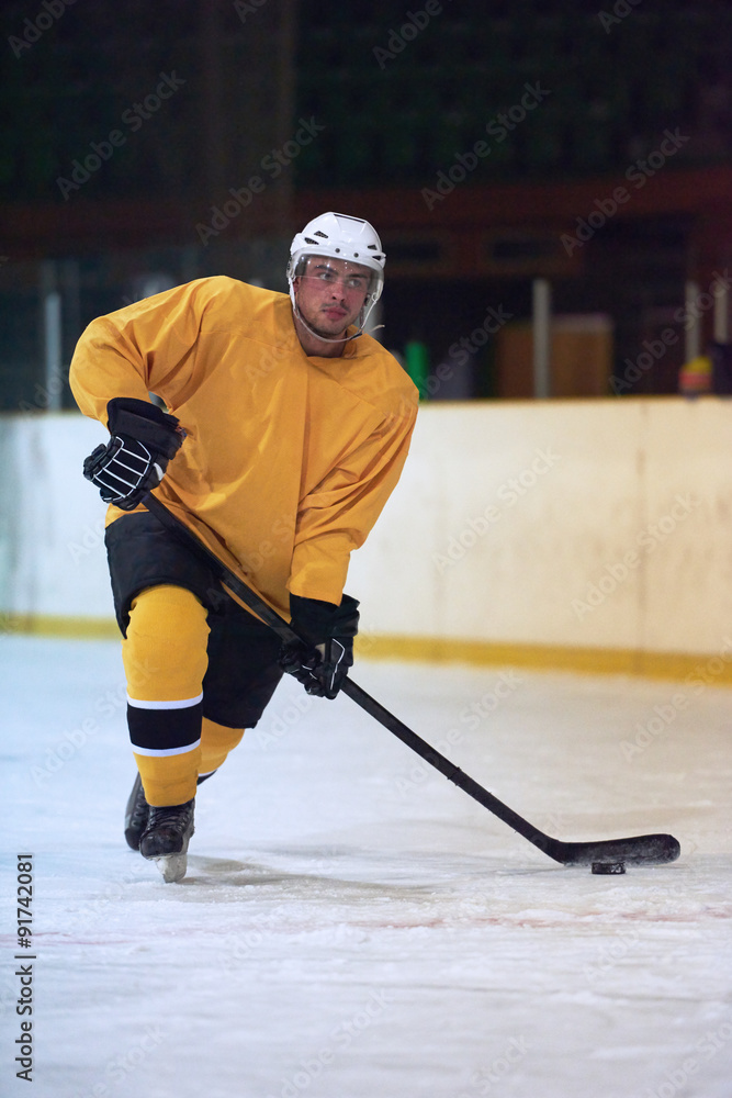 Obraz premium ice hockey player in action