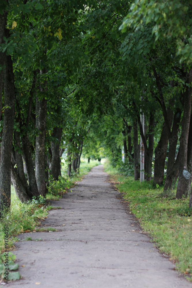 Park walkway Park walkway
