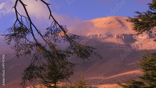 A cedar branch hangs in front of the beautiful mountains of Lebanon. photo