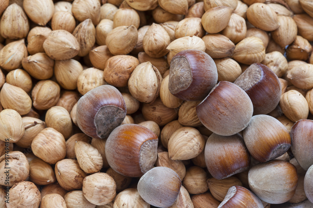 hazelnuts hazelnuts