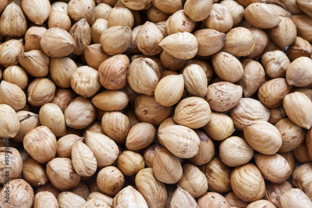 hazelnuts hazelnuts