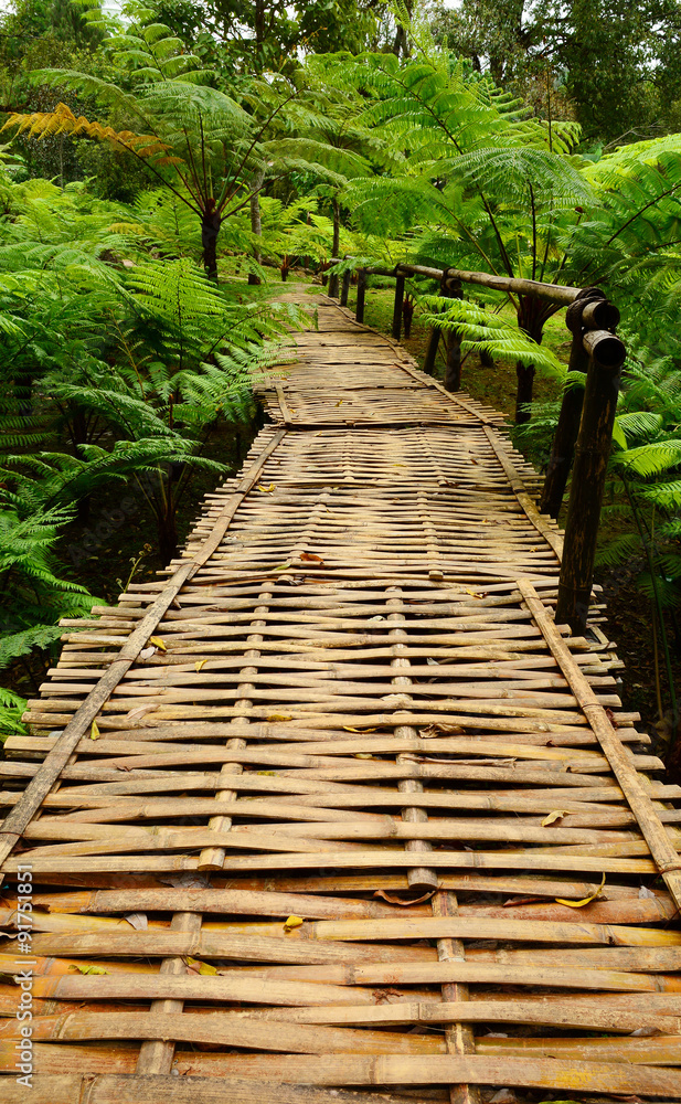 Bamboo bridge with ferns