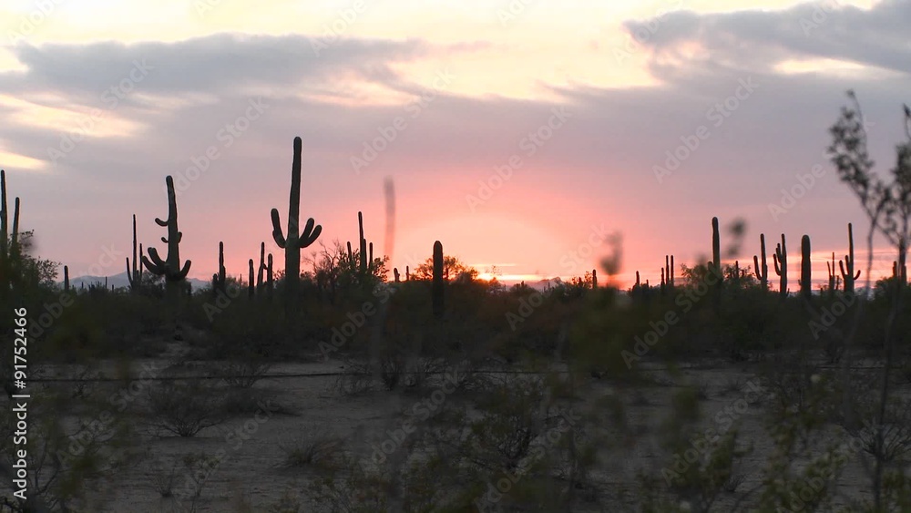 Night falls in the desert as the sun sinks to the horizon. Night falls in the desert as the sun sinks to the horizon.