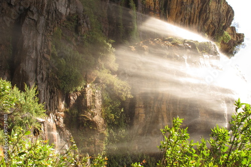 Blue Mountains National Park  NSW  Australia