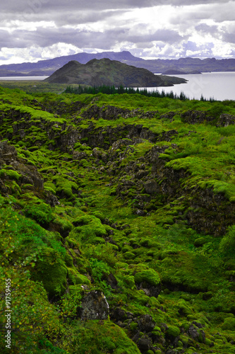 Natura Islandii
