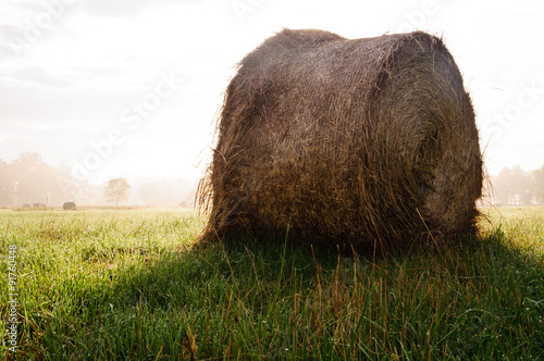 The great hay photo