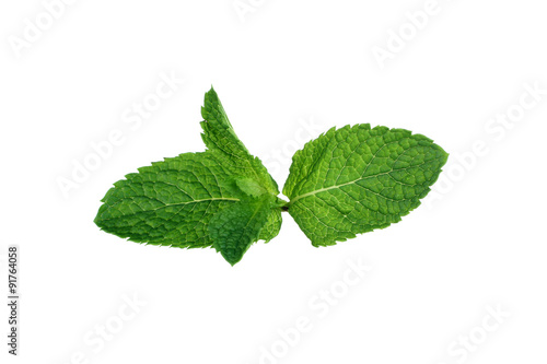 mint isolated on white background.