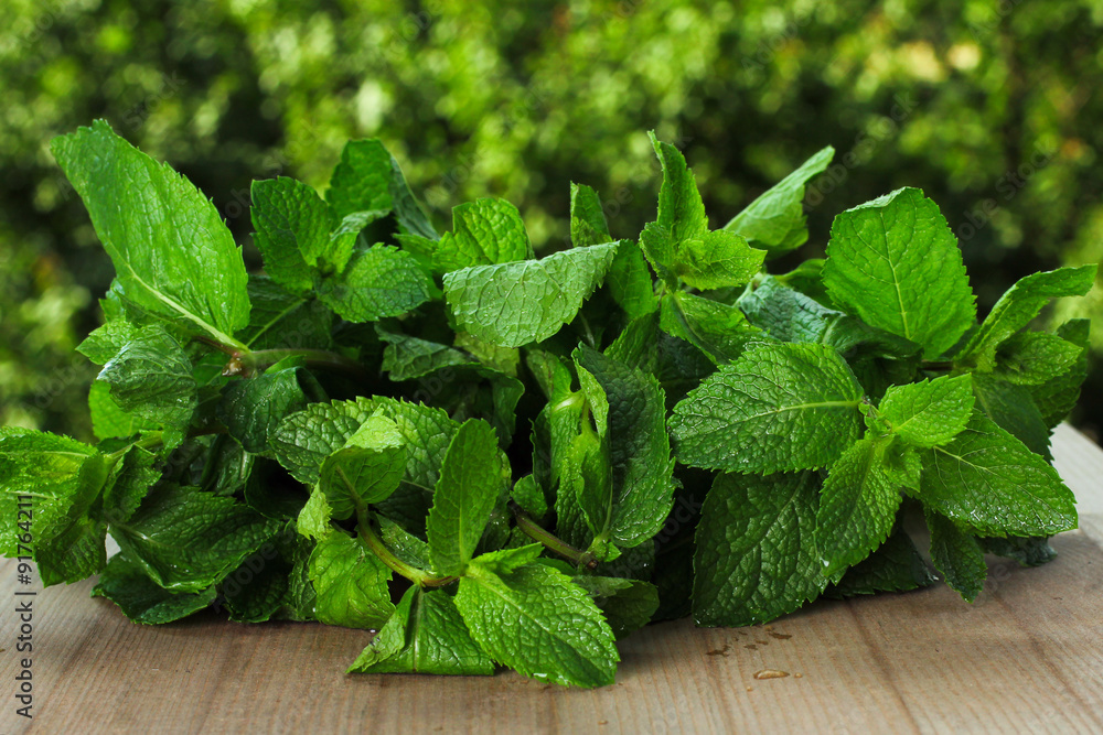 mint on the table on a background of trees mint on the table on a background of trees
