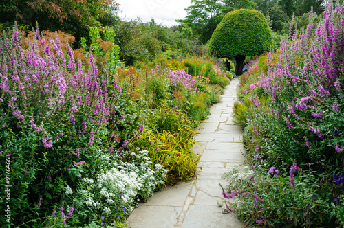 Photography Herbatious Garden