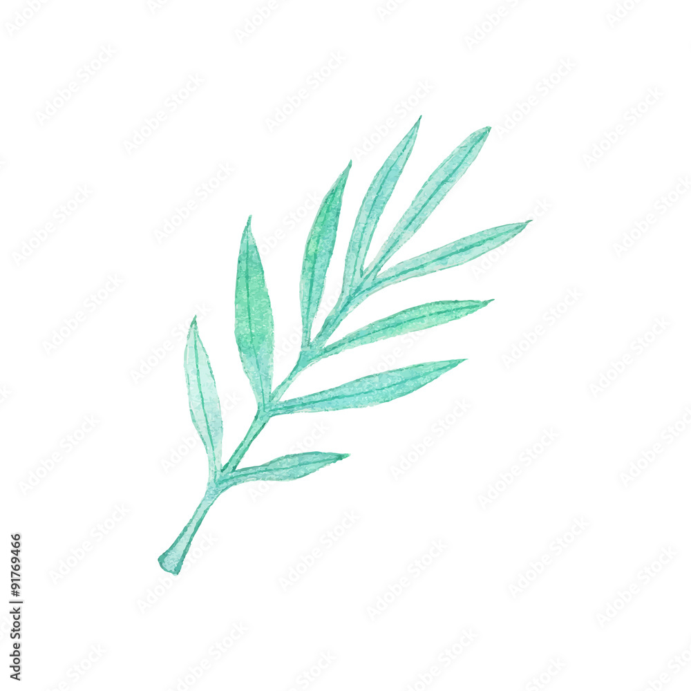 Fototapeta premium Palm branch. Hand-drawn leaves. Real watercolor drawing. Vector