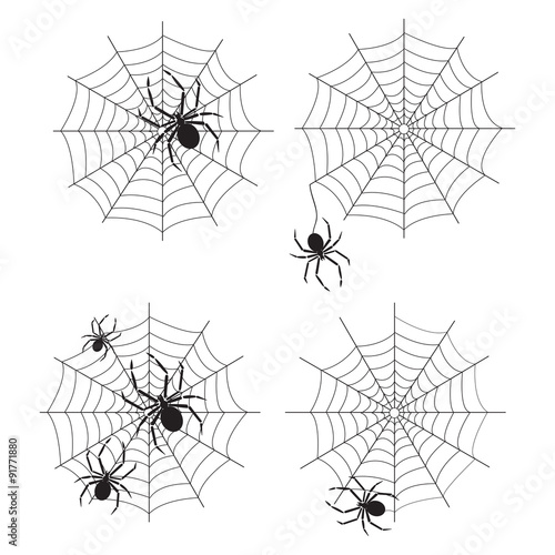 spider web vector