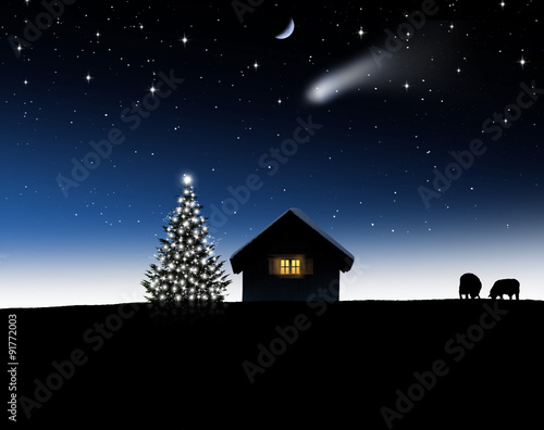 Weihnachtsbaum mit Schafstall bei Nacht