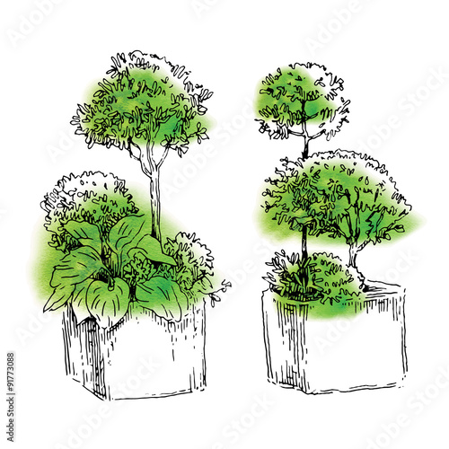 Garden elements sketch