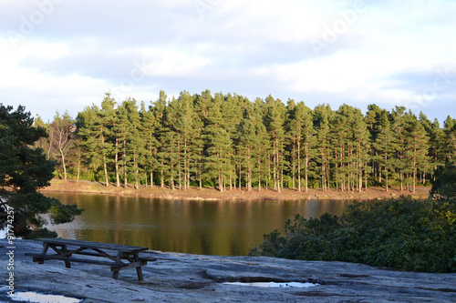 Bench by the lake, in the north of England. photo