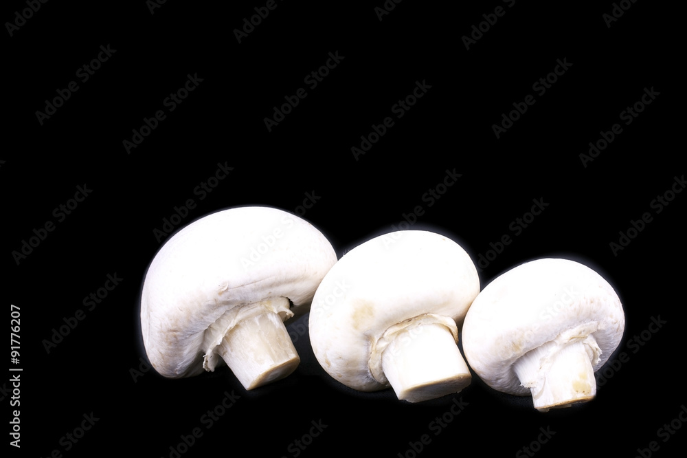 Fototapeta premium Champinons