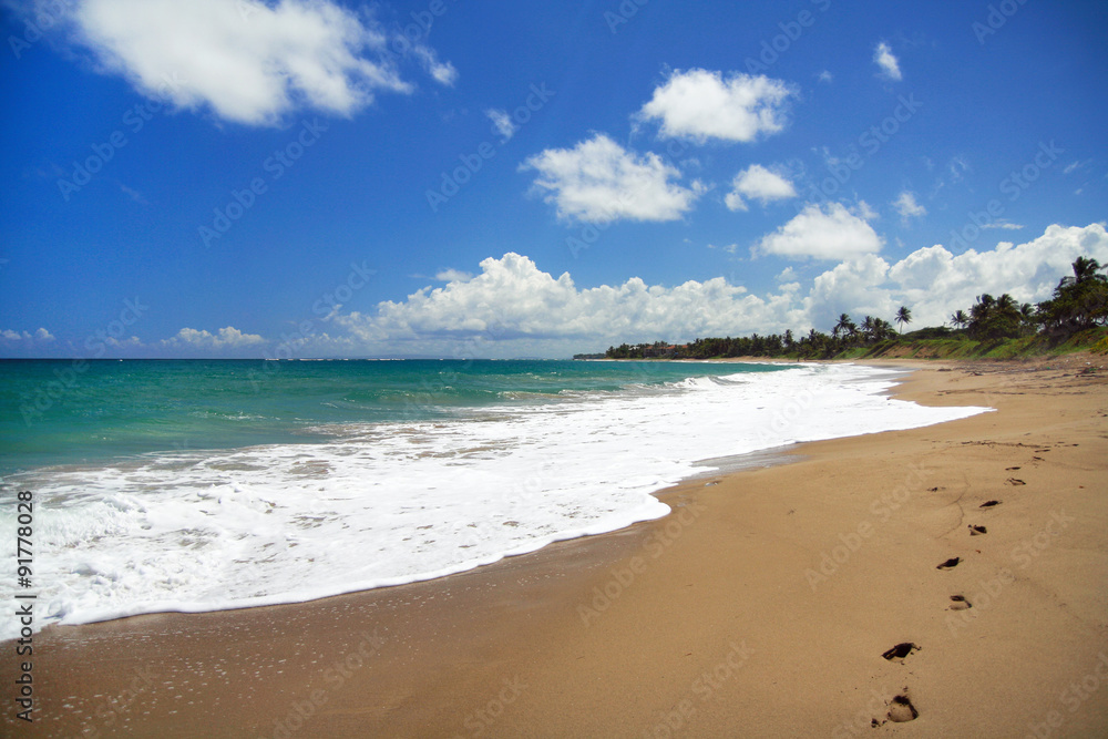 Obraz premium Tropical destinations. Beach of caribbean sea