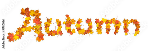 Word autumn made of bright maple leaves