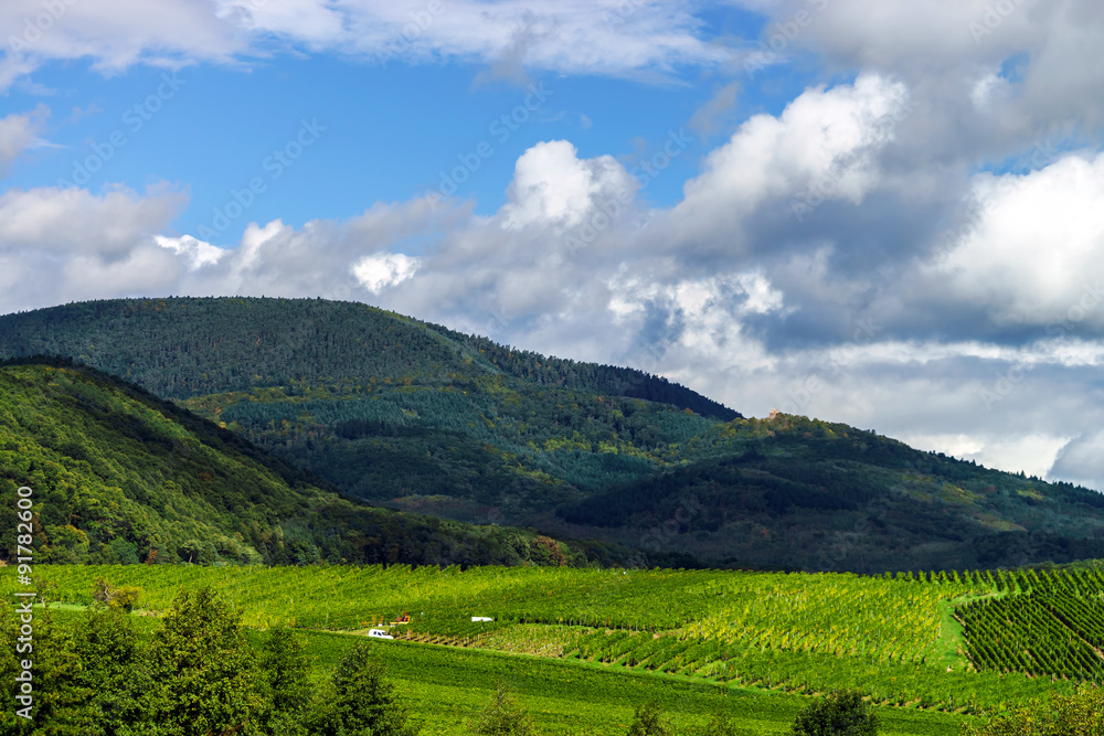 Obraz premium Beautiful lasacien autumnal landscape with green hills and viney