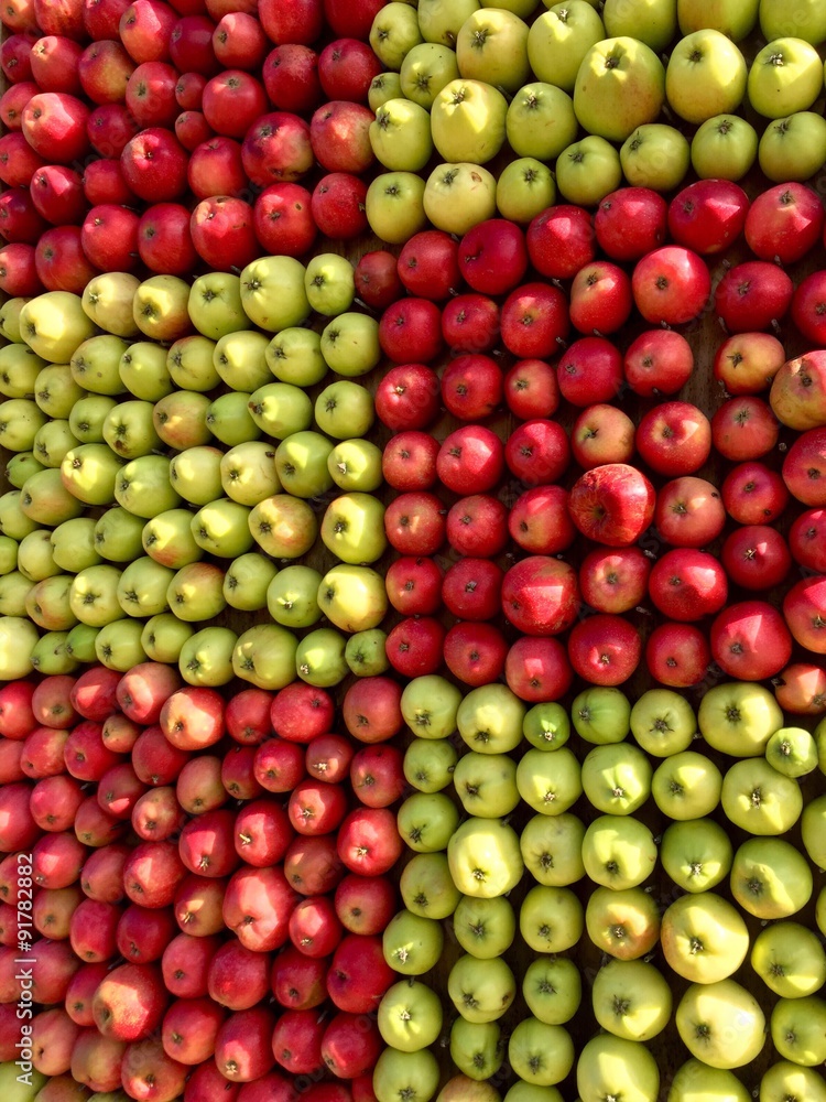 Red and green apples in a square pattern Red and green apples in a square pattern