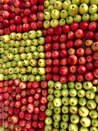 Red and green apples in a square pattern
