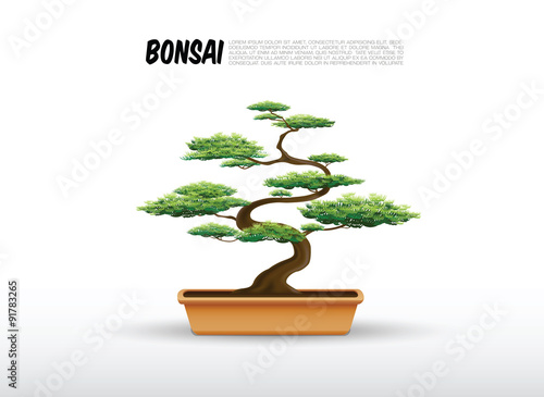 bonsai