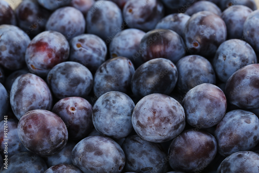Fresh plums background, close up Fresh plums background, close up