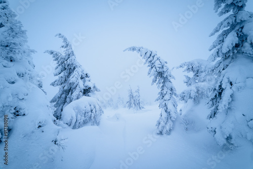 Fairytale winter landscape