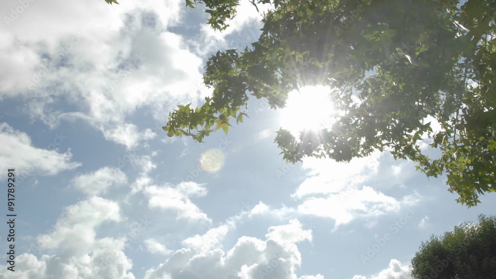 Time lapse of spring clouds passing over a tree in Oak View, California.