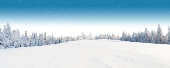 Tableau sur plexiglas Hiver Forêt enneigée calme sous ciel gris hivernal  © Jag_cz