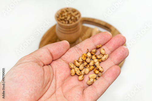 Soy beans in the hand over white