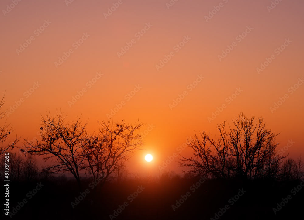 Sunset in the steppe