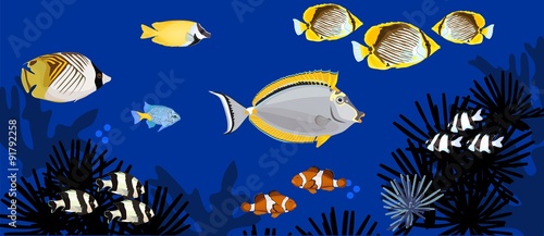 background with marine tropical fish