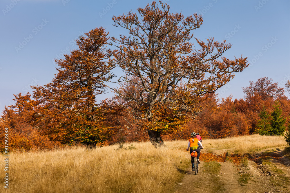 Mountain biker in autumn forest