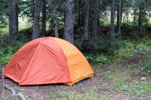 Orange tent in a Colorado national forest © karagrubis
