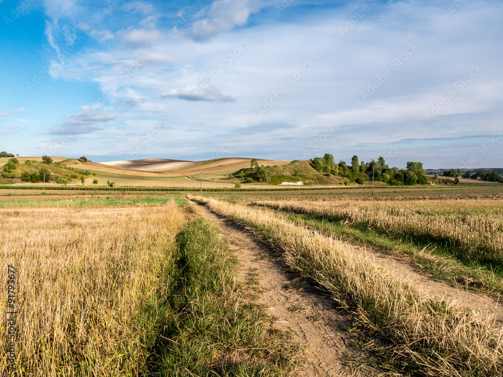 Country road