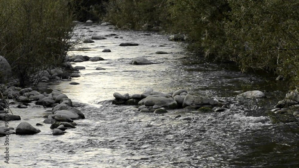 San Antonio Creek confluence on the Ventura River in Casitas Springs, California. San Antonio Creek confluence on the Ventura River in Casitas Springs, California.