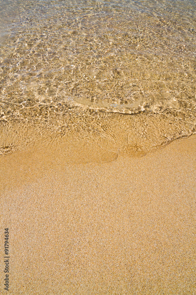 The beach of the Black Sea in the Crimea in the summer The beach of the Black Sea in the Crimea in the summer