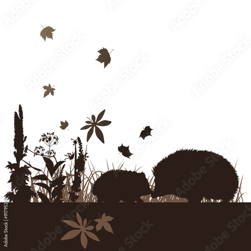 Zwei Igel Herbst Landschaft