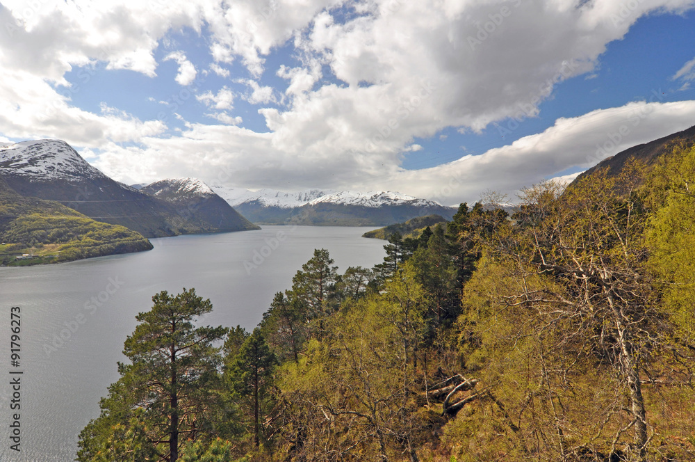 Fototapeta premium Norwegian nature / There are mountains plunging into the sea from hundreds of metres, fjords, tall mountain peaks, northern lights and midnight sun.