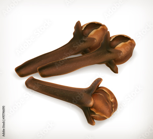 Dried cloves, vector icon