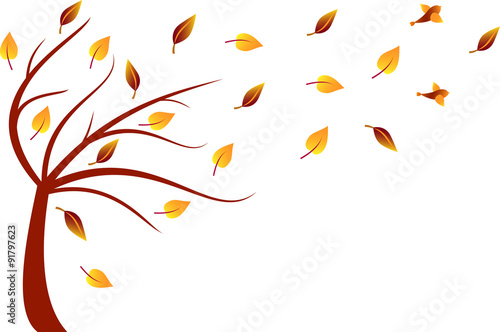 Fall Tree Illustration