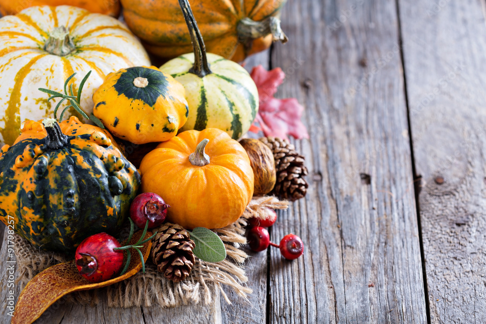 Pumpkins and variety of squash Pumpkins and variety of squash