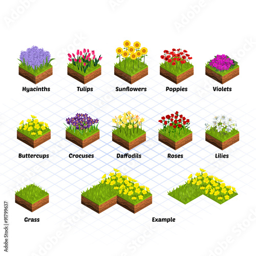 Fototapeta Naklejka Na Ścianę i Meble -  Set of Isometric Tiles Flowers Include Hyacinths, Tulips, Sunflowers, Poppies, Violets, Buttercups, Crocuses, Daffodils, Roses, Lilies, and Grass