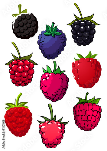 Red raspberry and blackberry fruits