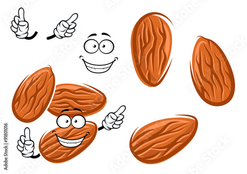 Cartoon isolated almond seed character