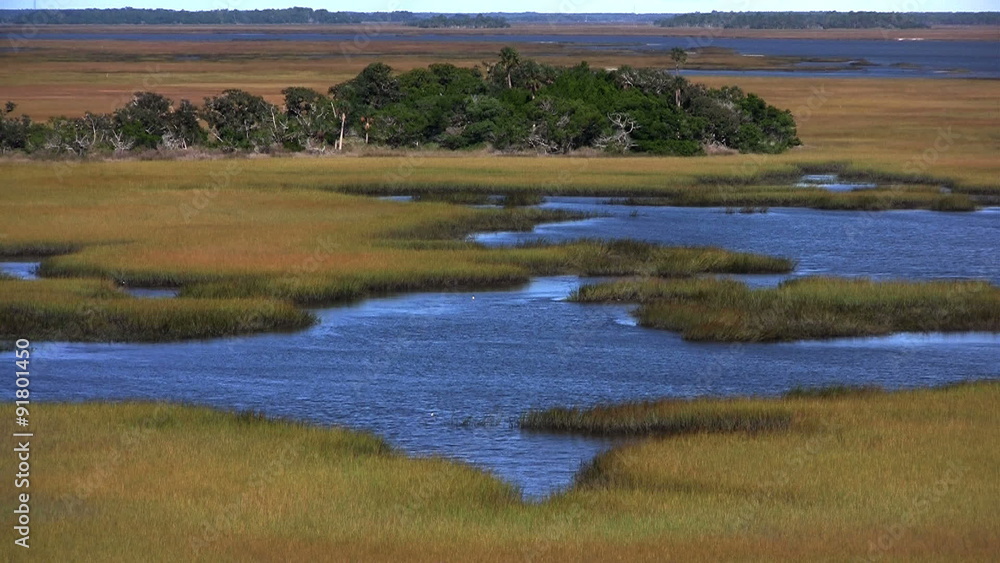 A salt marsh near St. Augustine, Florida. A salt marsh near St. Augustine, Florida.