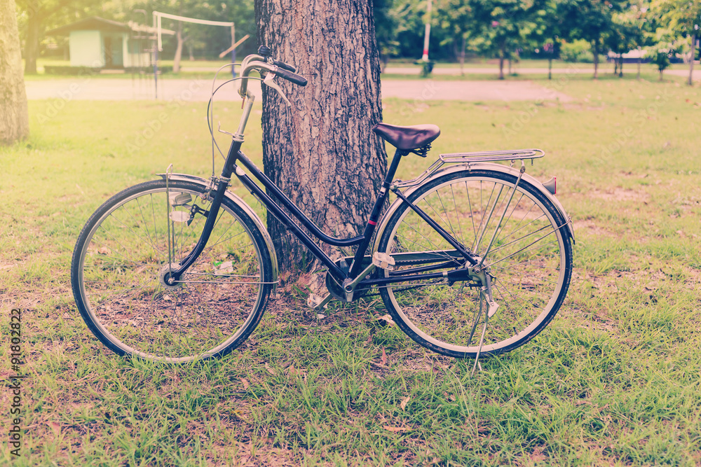 vintage bicycle in garden with tree