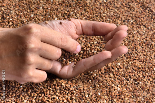 buckwheat groats in hands